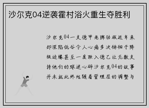 沙尔克04逆袭霍村浴火重生夺胜利